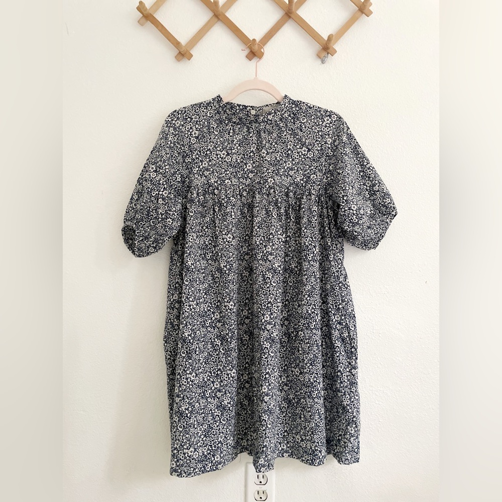 Everlane Blue and White Floral Babydoll Mini with Puff Sleeves